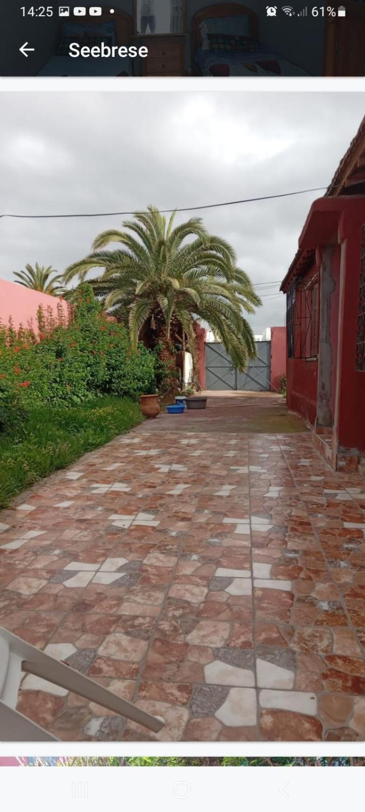Palmtree Bed & Breakfast El Jadida Dış mekan fotoğraf